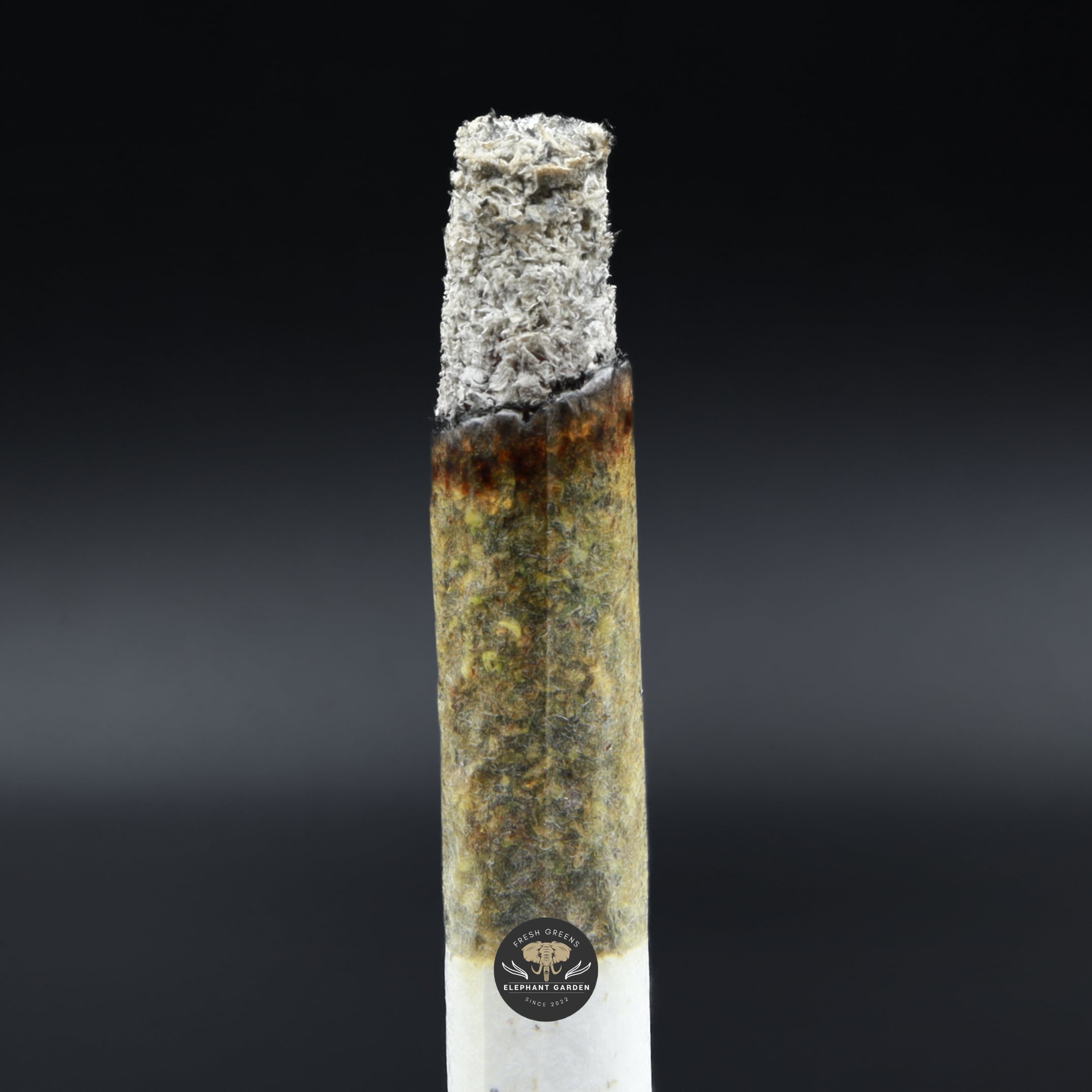 Cali Octane burn Elephant Garden March 2026