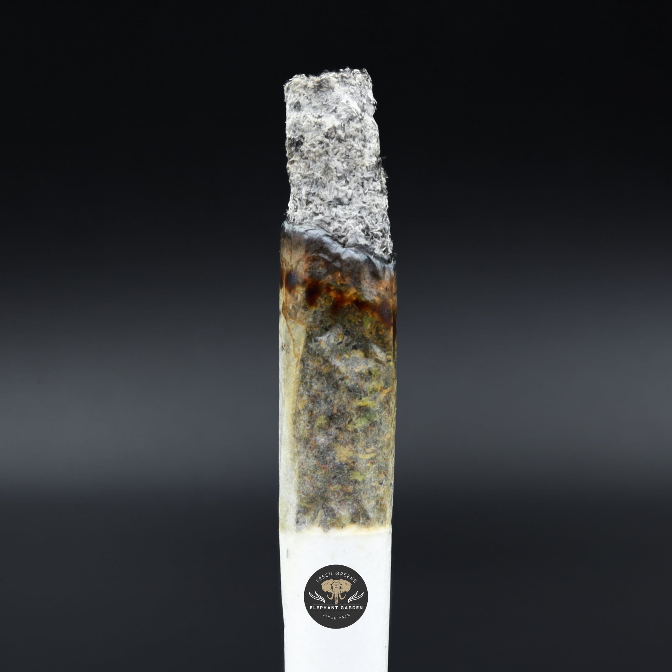 Death Ultra Smalls burn test Elephant Garden March 2026