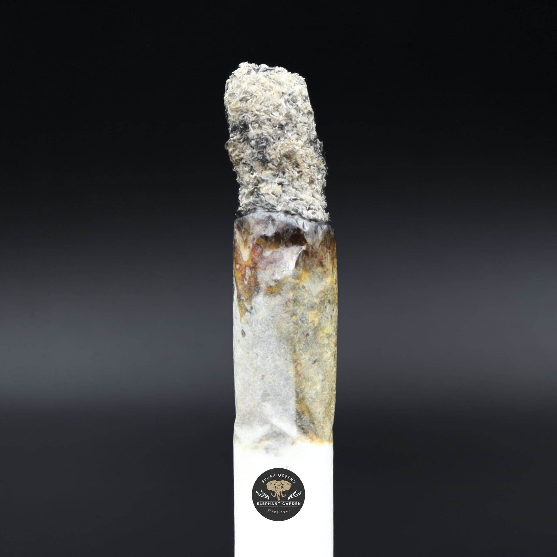 Death Walker Burn Elephant Garden March 2026