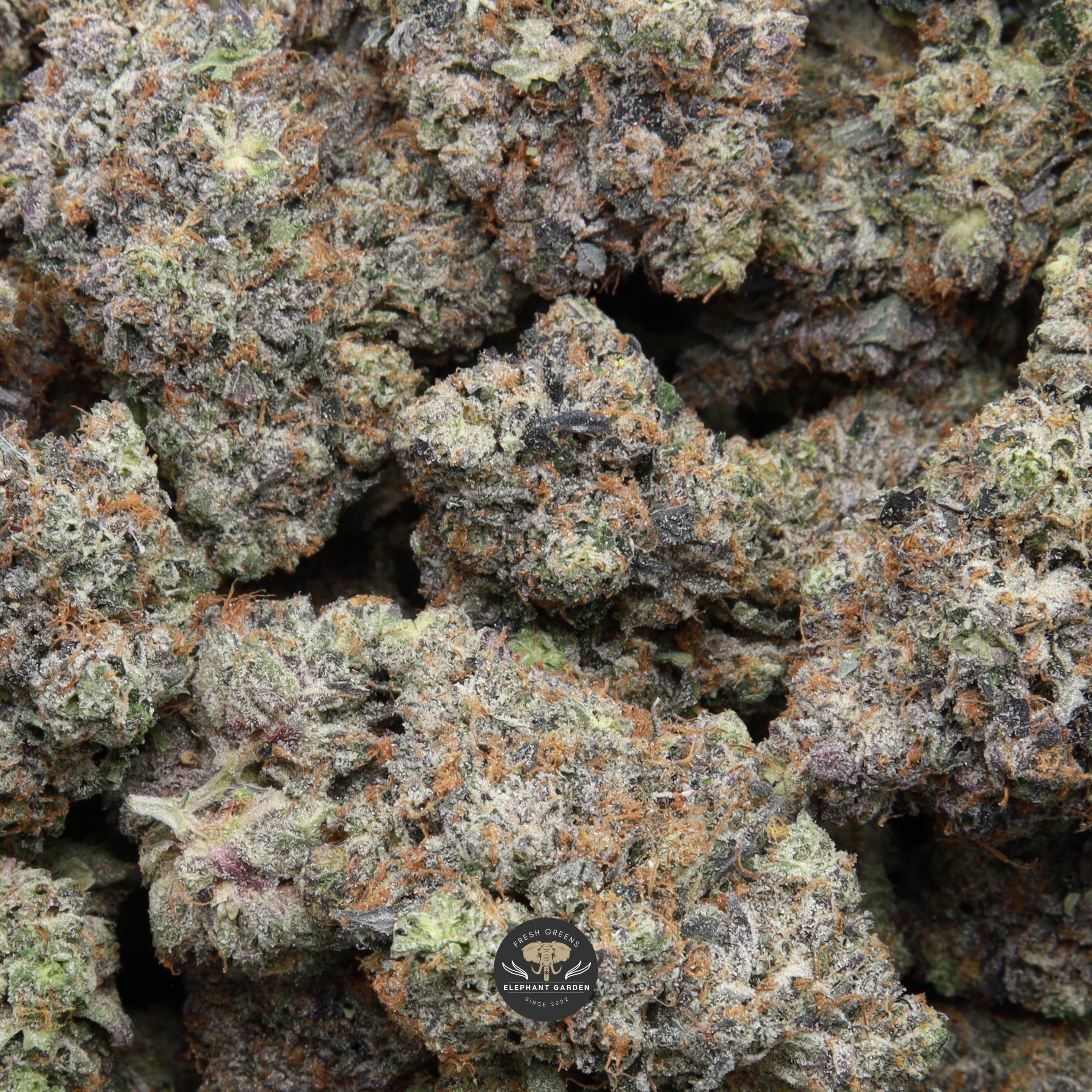 Doughboy Pink bag Elephant Garden March 2026