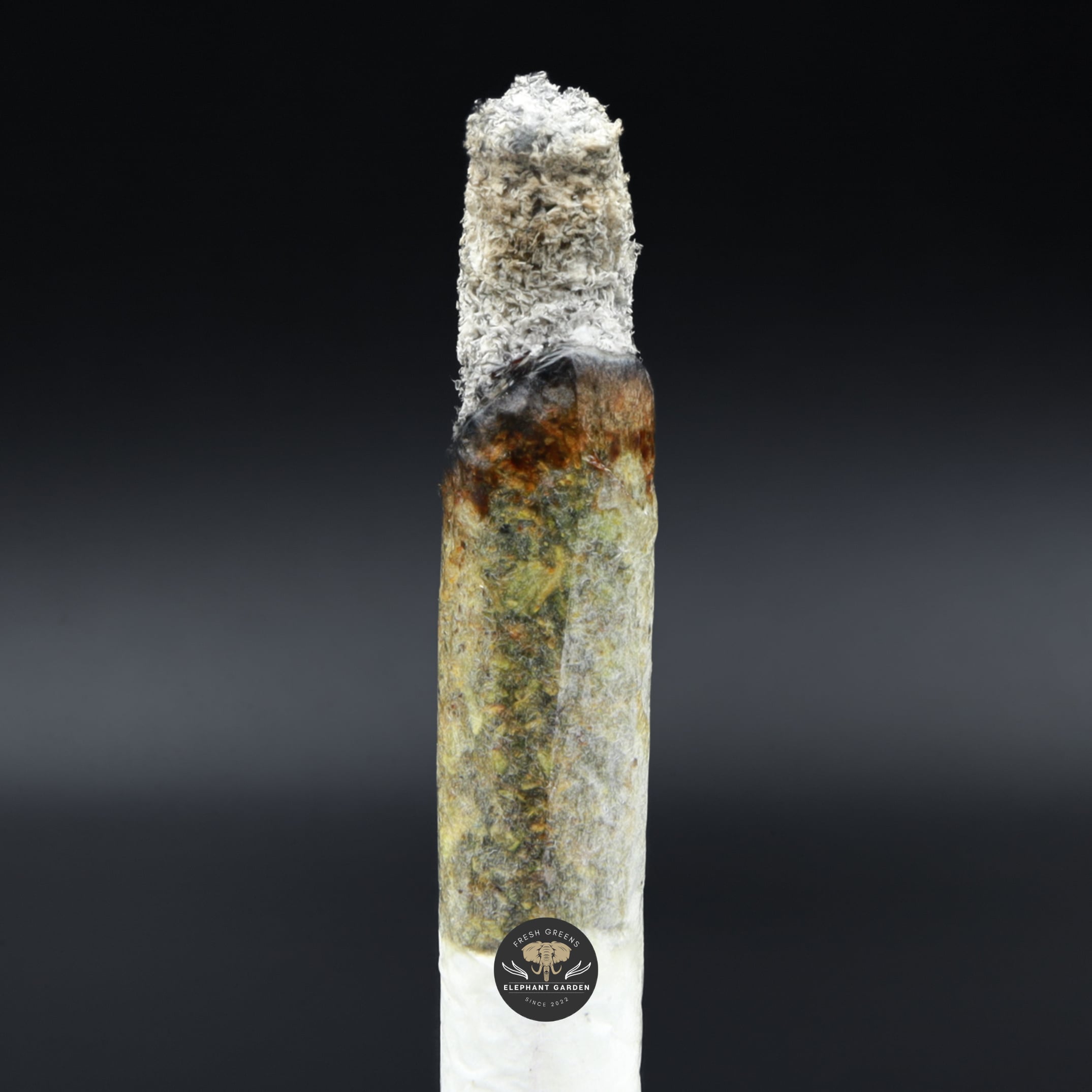 Doughboy Pink burn Elephant Garden March 2026