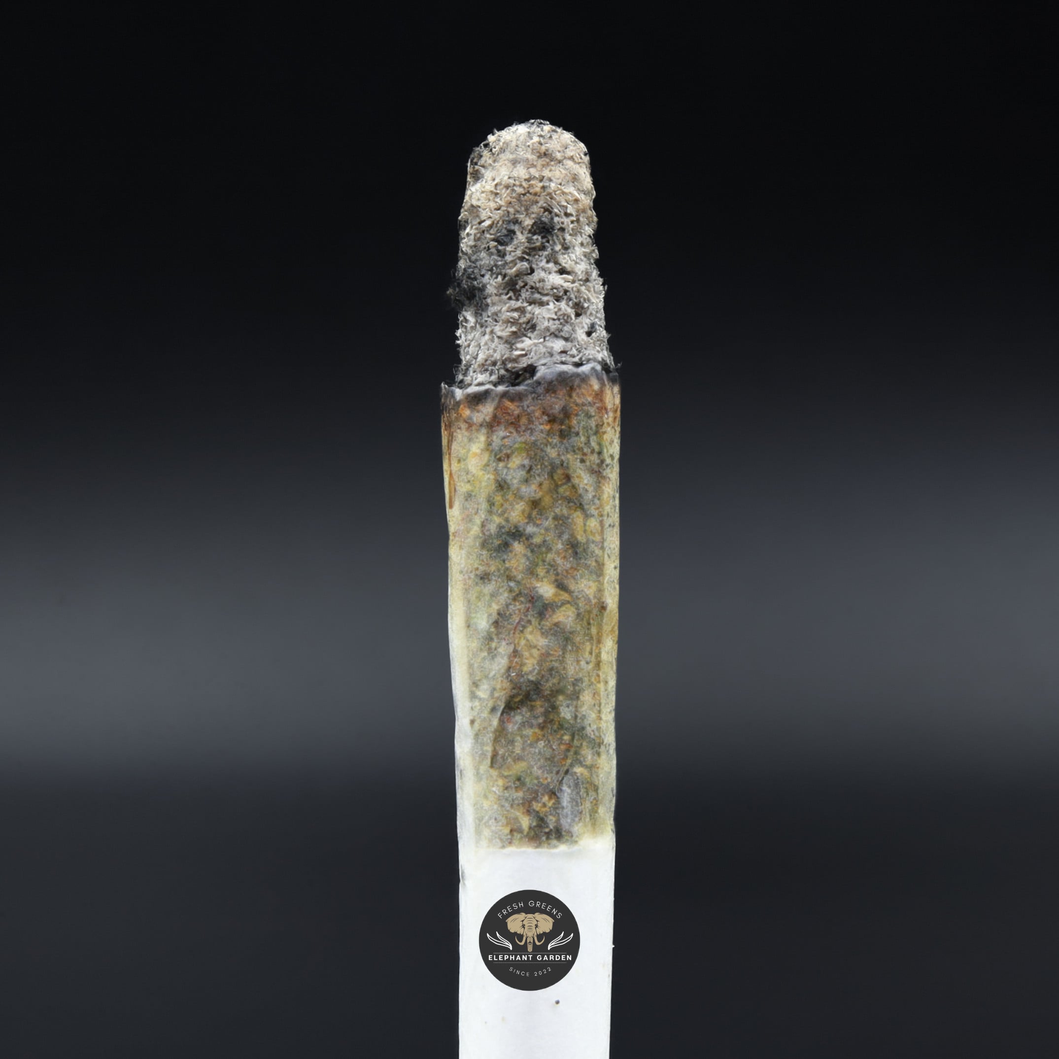 El Chapo LSO burn test Elephant Garden March 2026