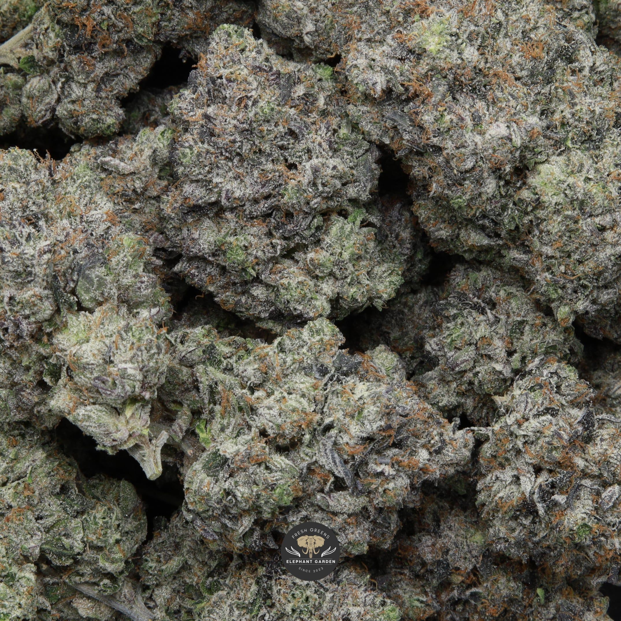 Pink Death Star bag Elephant garden March 2026