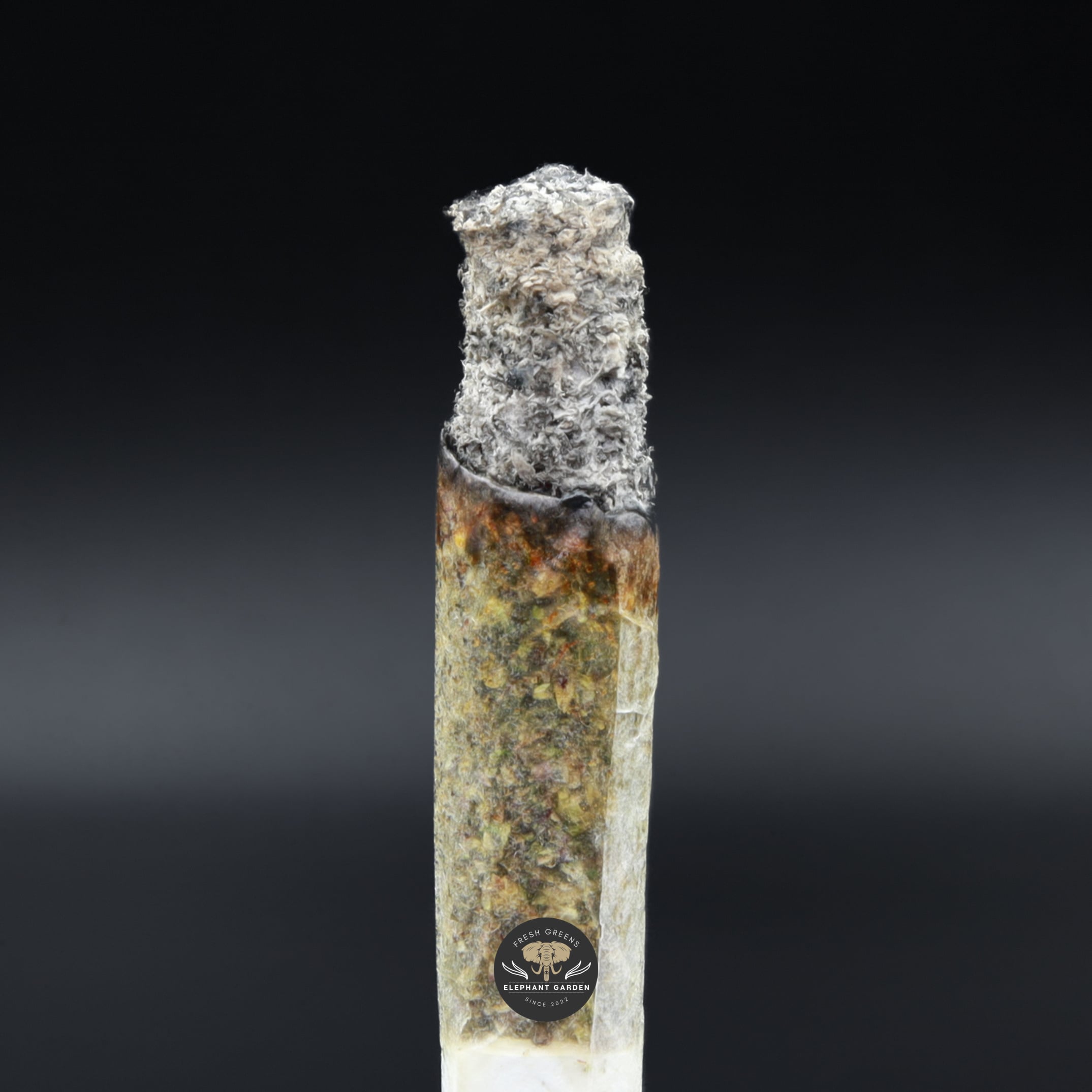 Pink Death Star burn test Elephant garden March 2026