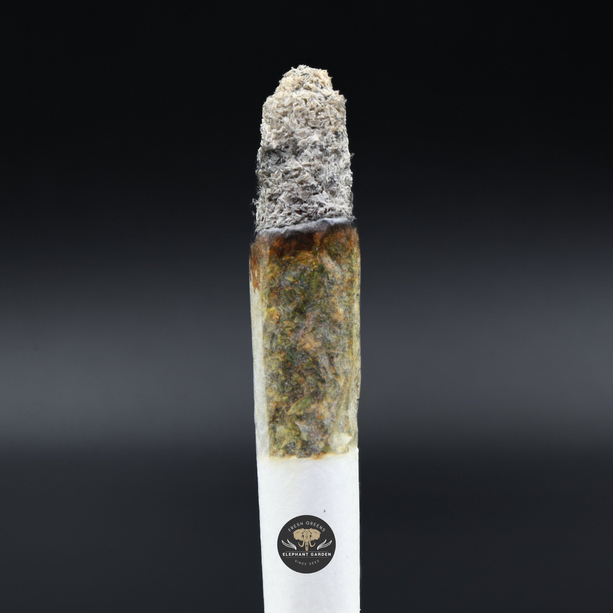 Pink Fuego LSO Burn Elephant Garden March 2026