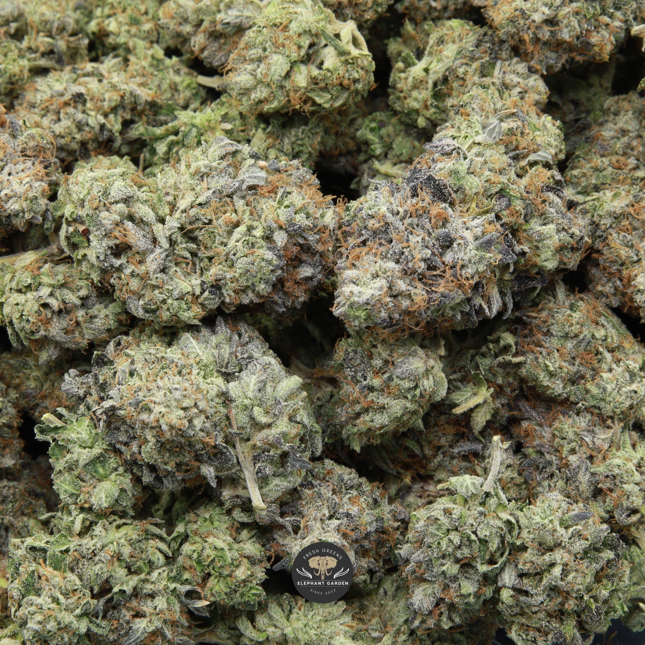 Pink Rockstar bag of buds from Elephnat Garden 2026