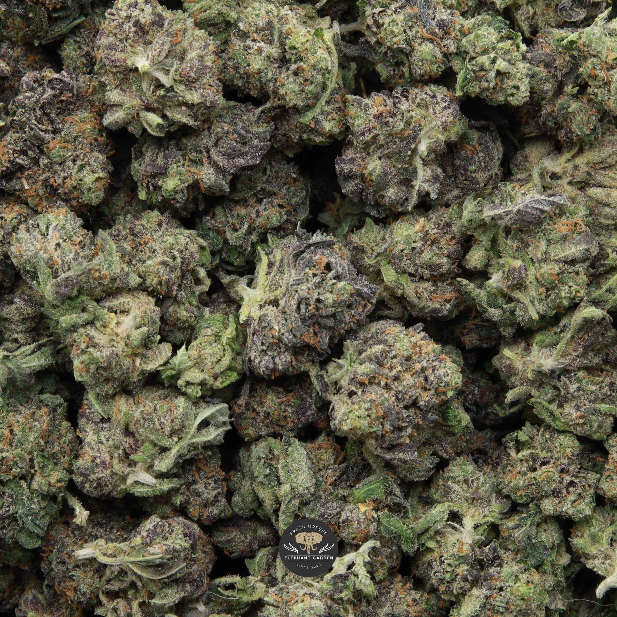 Tom Ford Smalls from Elephant Garden March 2026