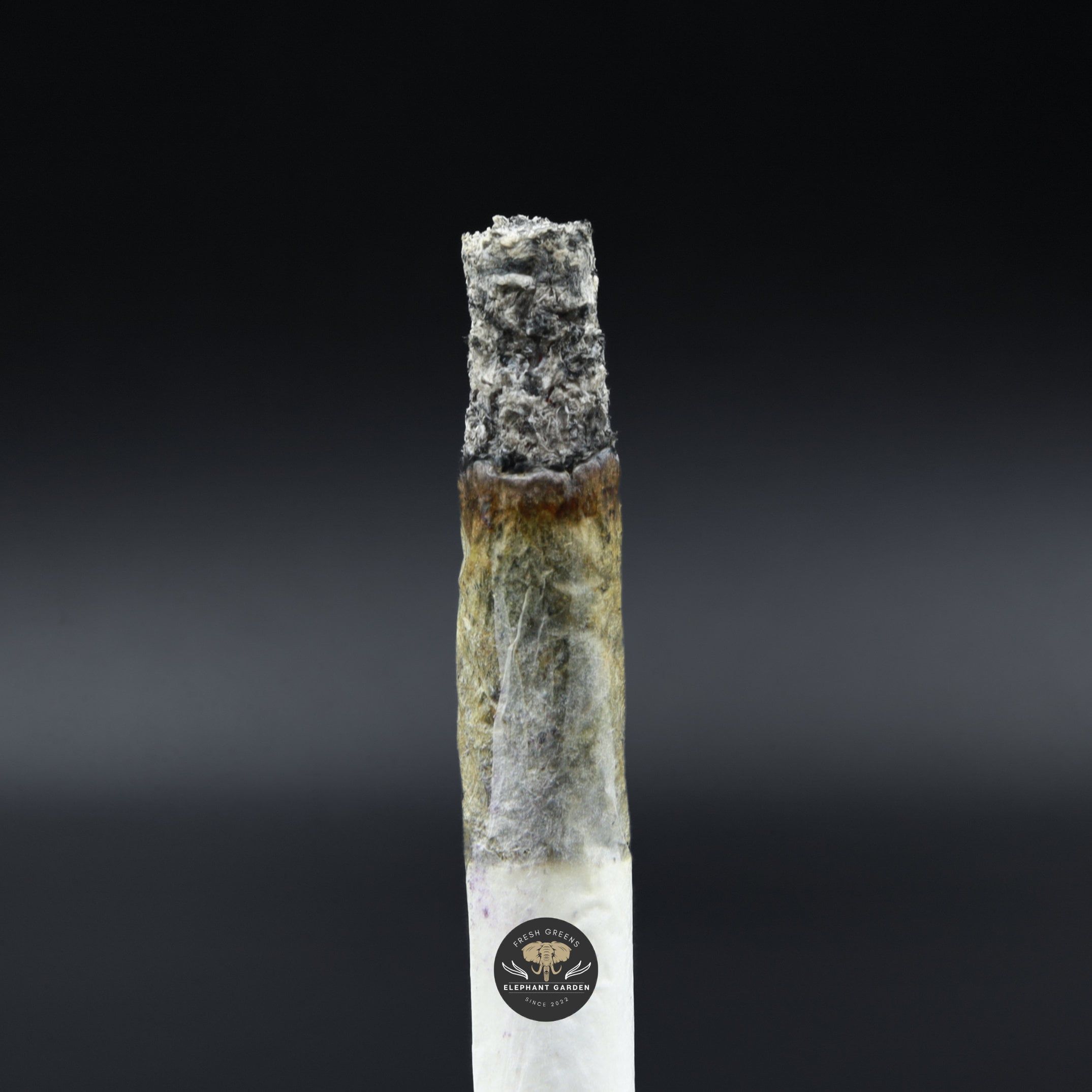 White Truffle Smalls Burn Test Elephant Garden March 2026