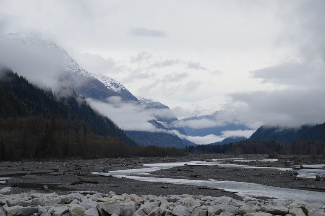 Lush green mountains and forest in British Columbia near Maple Ridge