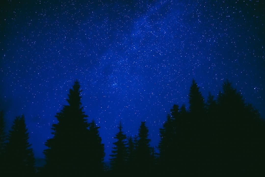 Starry night sky perfect for evening indica cannabis relaxation