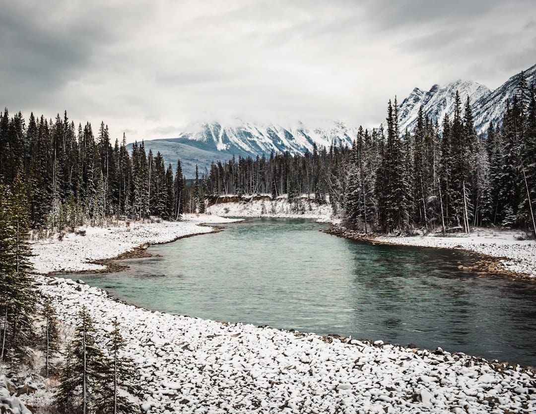 Winter river flowing through snow-covered forest in northern British Columbia Peace Region near Dawson Creek