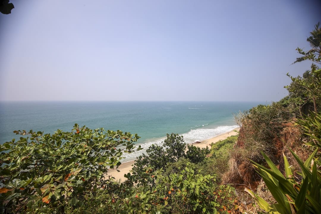 Ocean view from a tropical hilltop with lush greenery representing the Malabar Coast of India