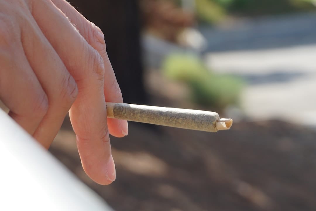 Person holding a cannabis pre-roll joint highlighting convenience of ready-to-smoke products