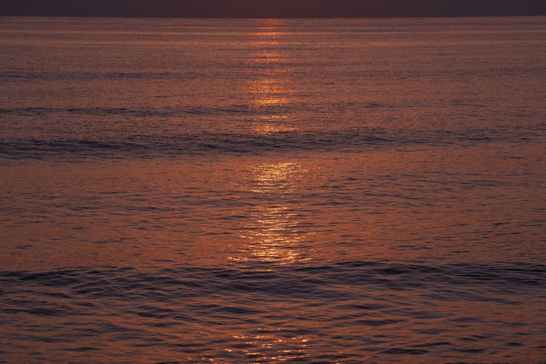 Calm sunset reflecting over still ocean water evoking the peaceful introspective effects of psilocybin mushrooms