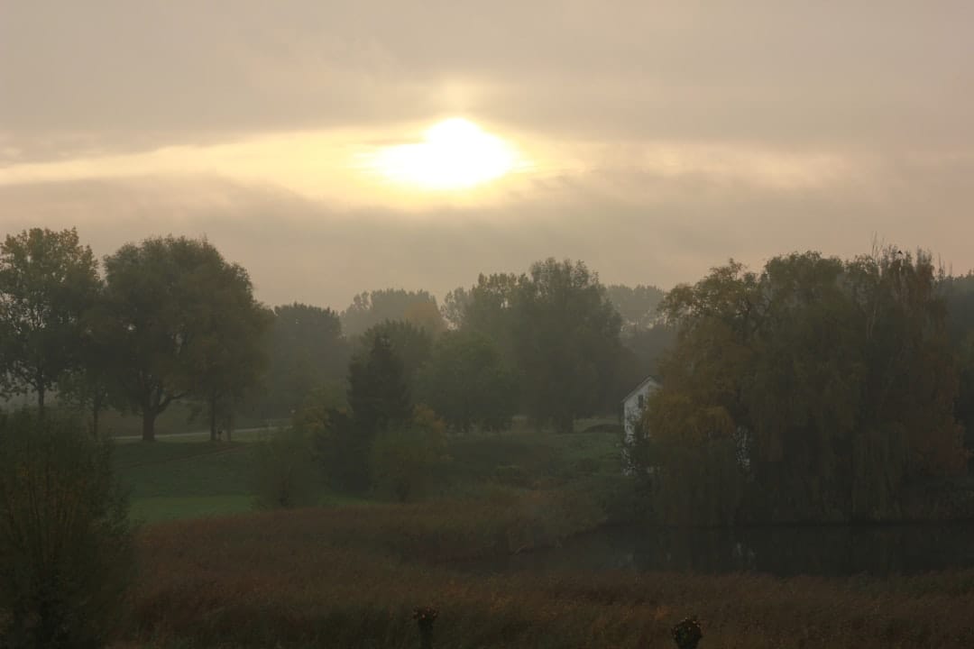 Sunrise over a peaceful field representing a fresh start after a cannabis tolerance break