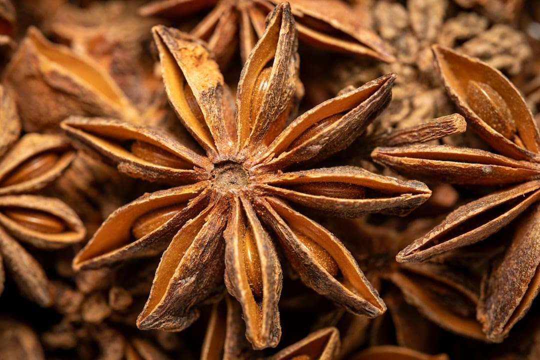 Star anise aromatic spice on dark background representing Death Star terpene profile
