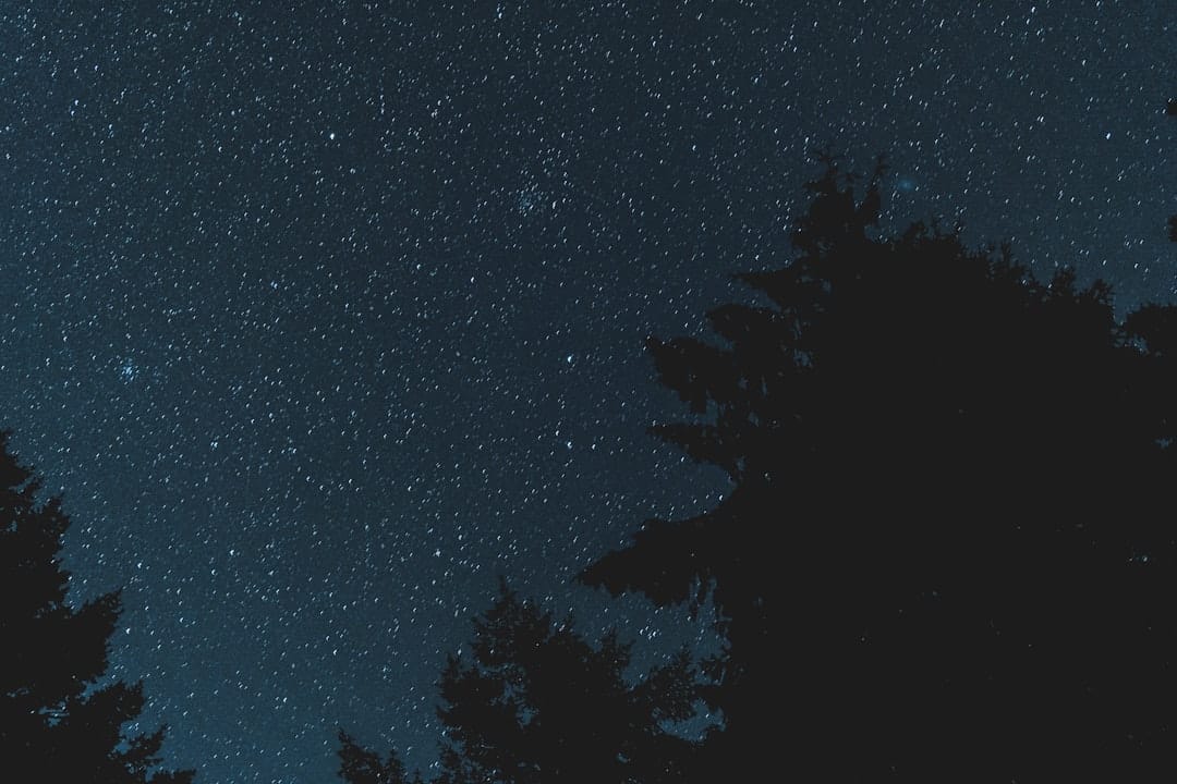 Starry night sky over British Columbia perfect for winding down with a heavy indica