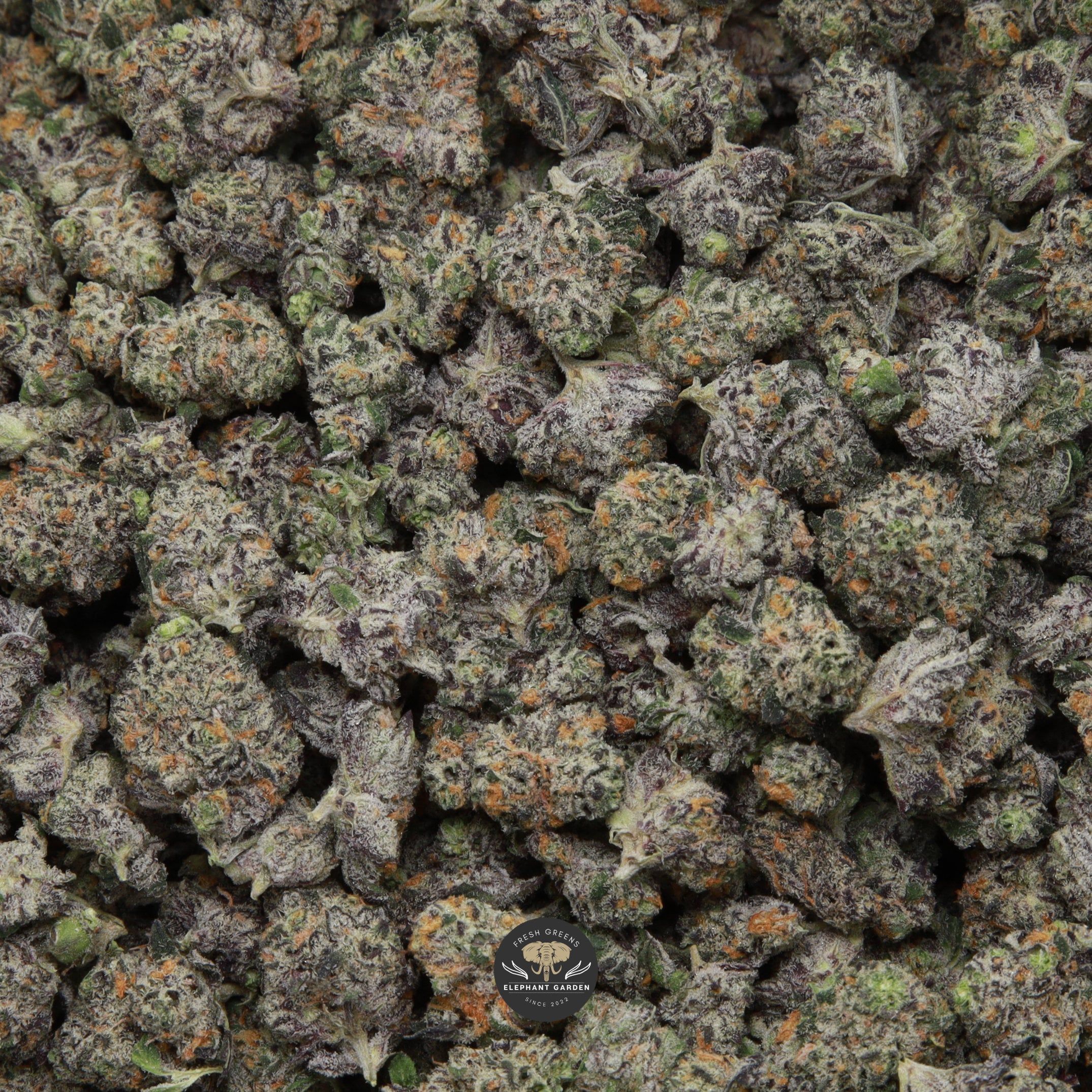 Peanut Butter Cookies Popcorn Elephant Garden April 2026