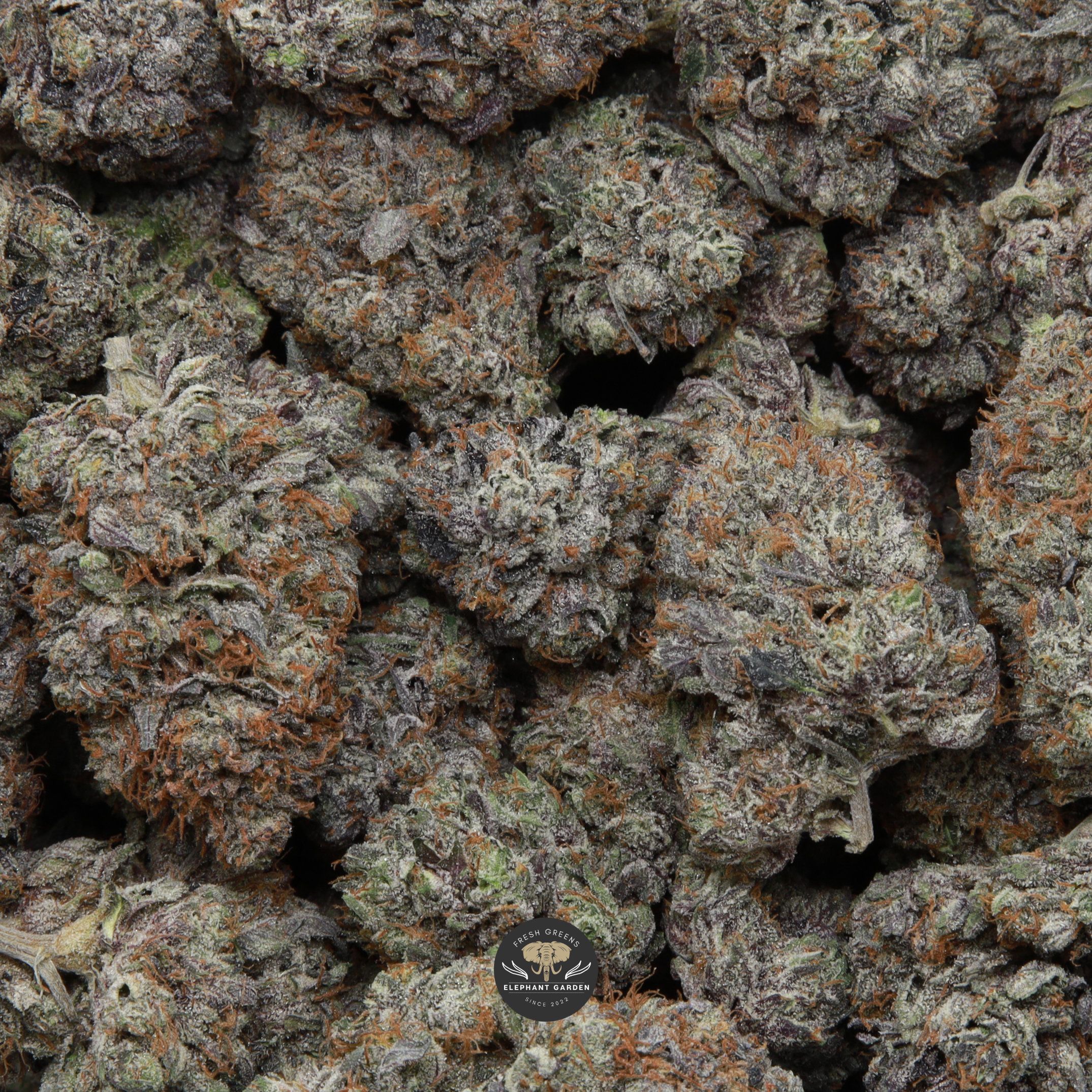 Pink Gasoline AAAA - Image 2