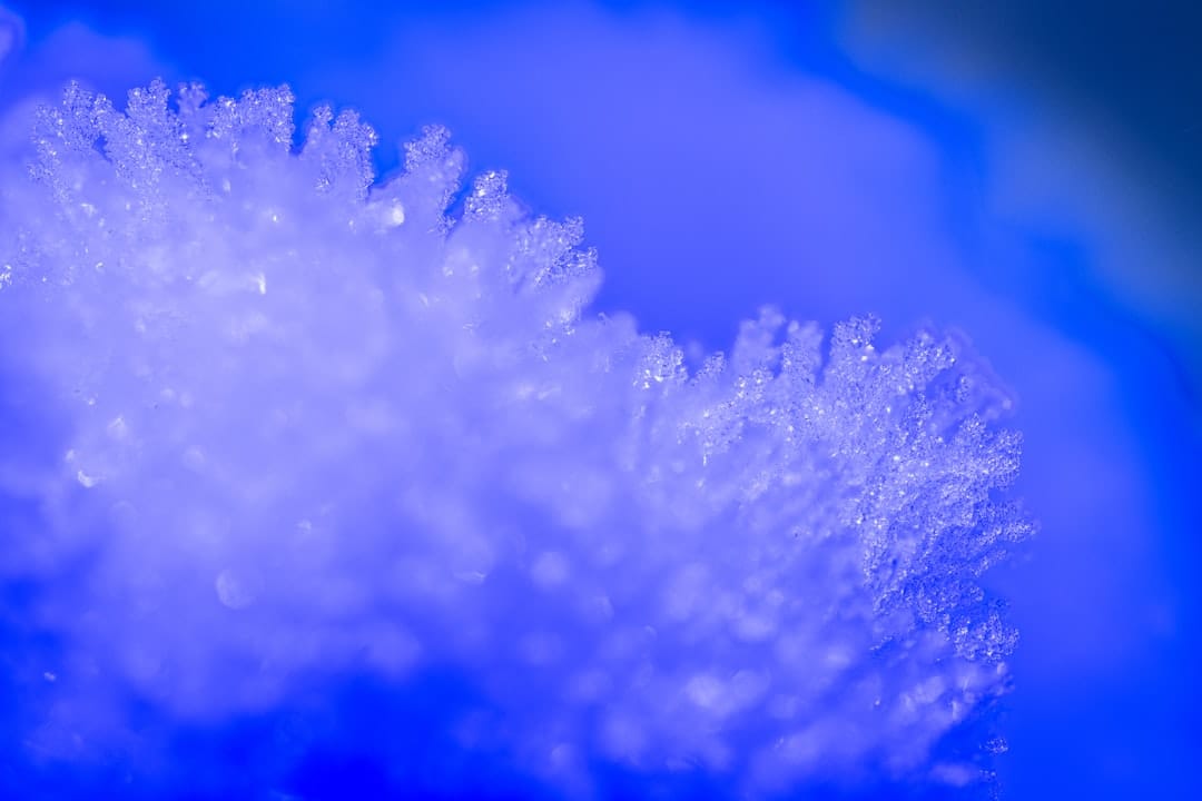 Close-up of delicate frost crystals on a blue background representing the ice water extraction process used to make live hash rosin
