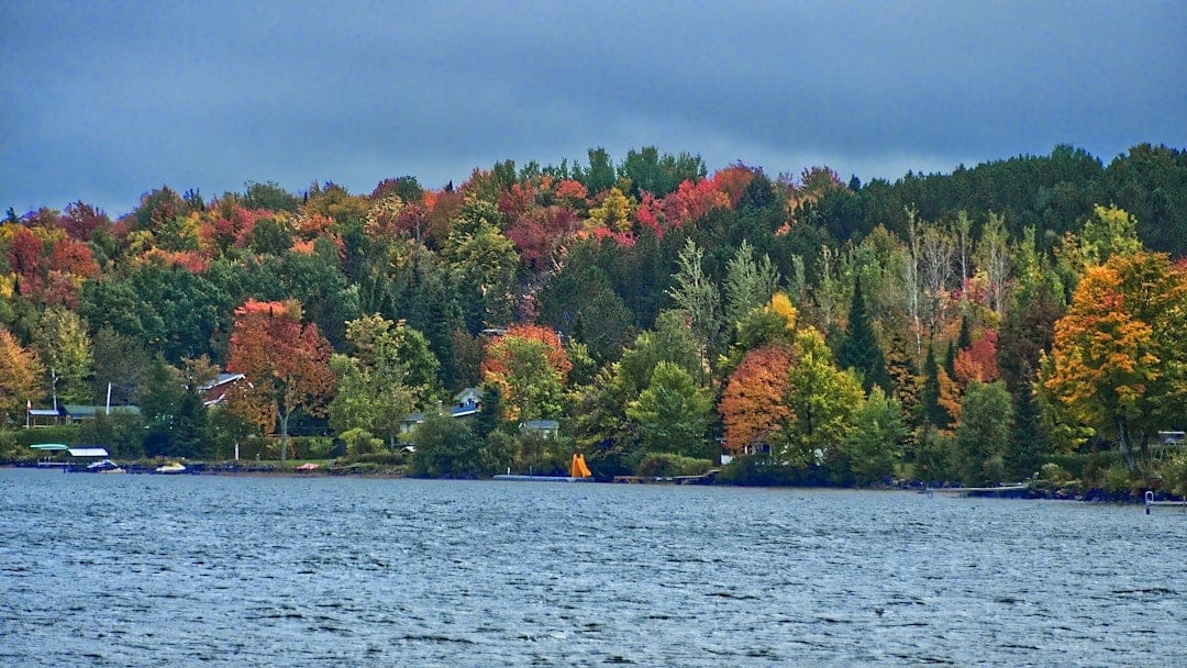 Scenic green trees and lake landscape reminiscent of the Annapolis Valley Nova Scotia