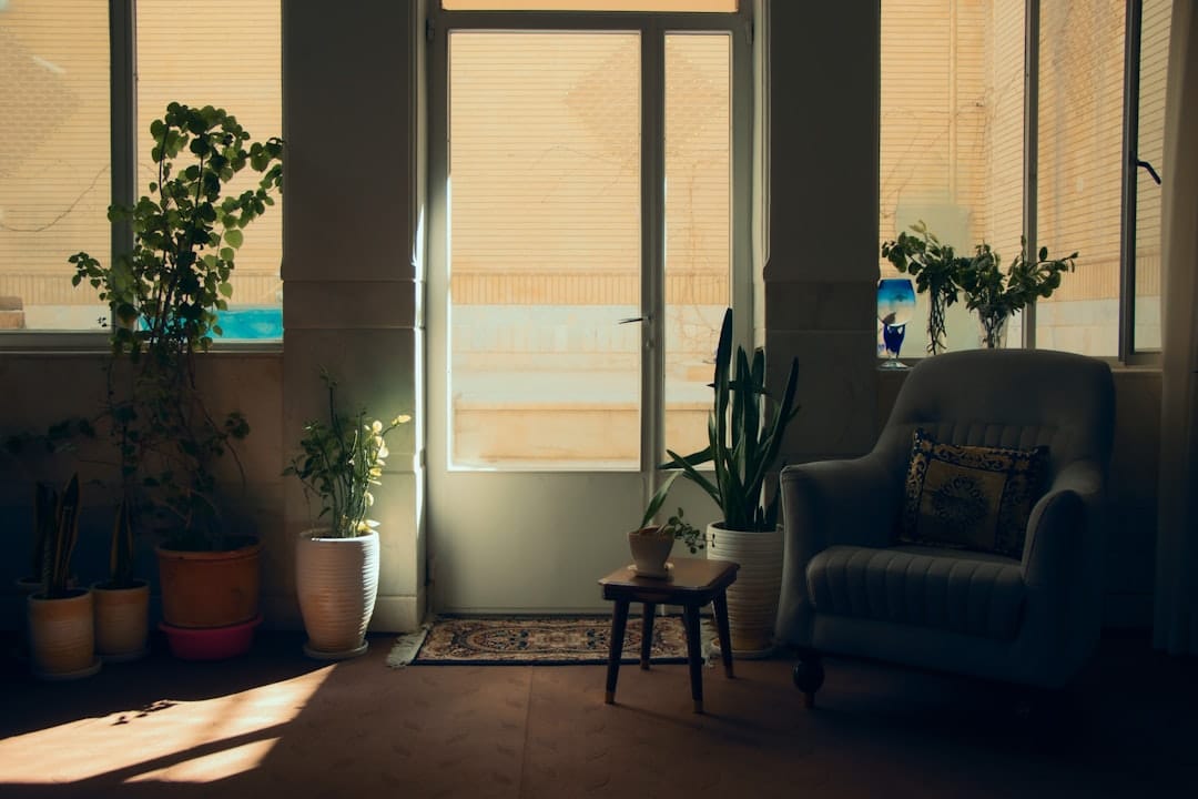 Calm living room with plants and natural light ideal for cannabis edibles relaxation