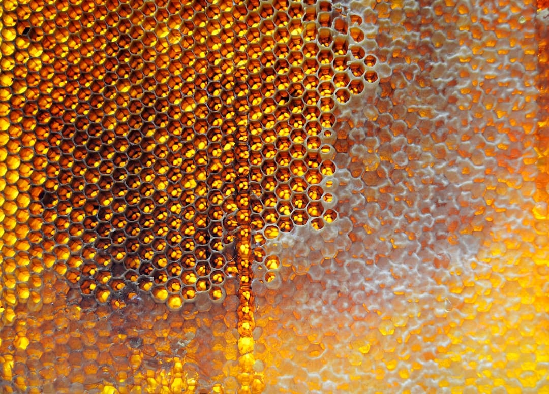 Golden honeycomb dripping with honey representing the rich amber colour of premium cannabis concentrates