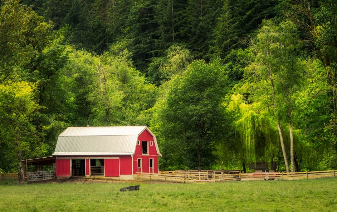 Red barn surrounded by green fields in British Columbia representing craft cannabis farming