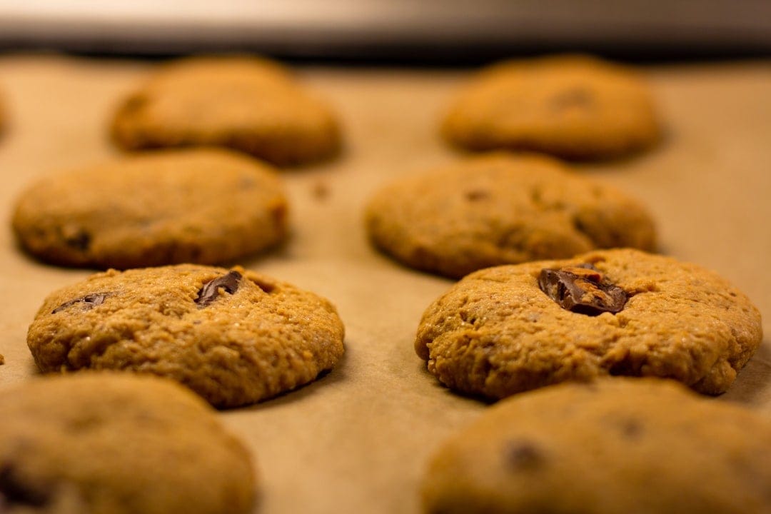 Fresh baked peanut butter cookies close up on baking sheet