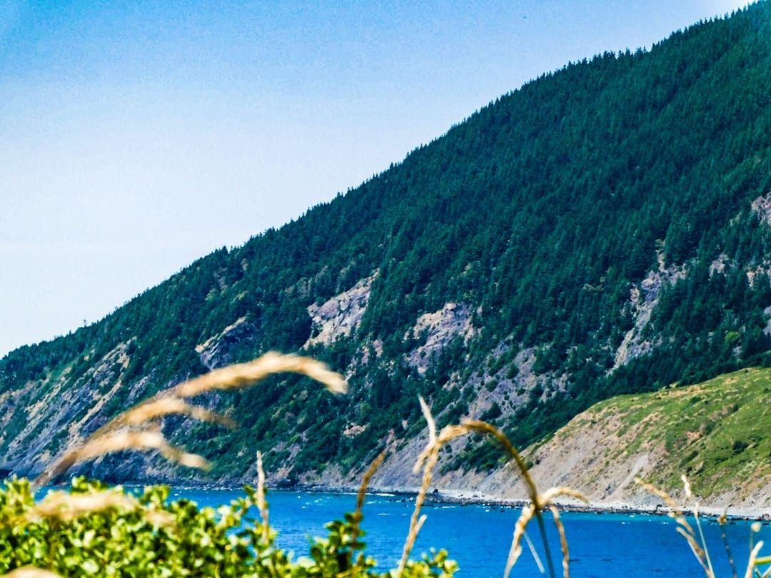 Canadian mountains and coastline representing nationwide cannabis delivery across Canada