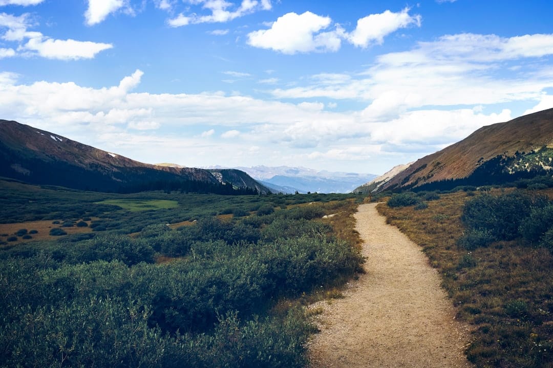 Winding hiking path through a beautiful mountain valley representing active sativa energy