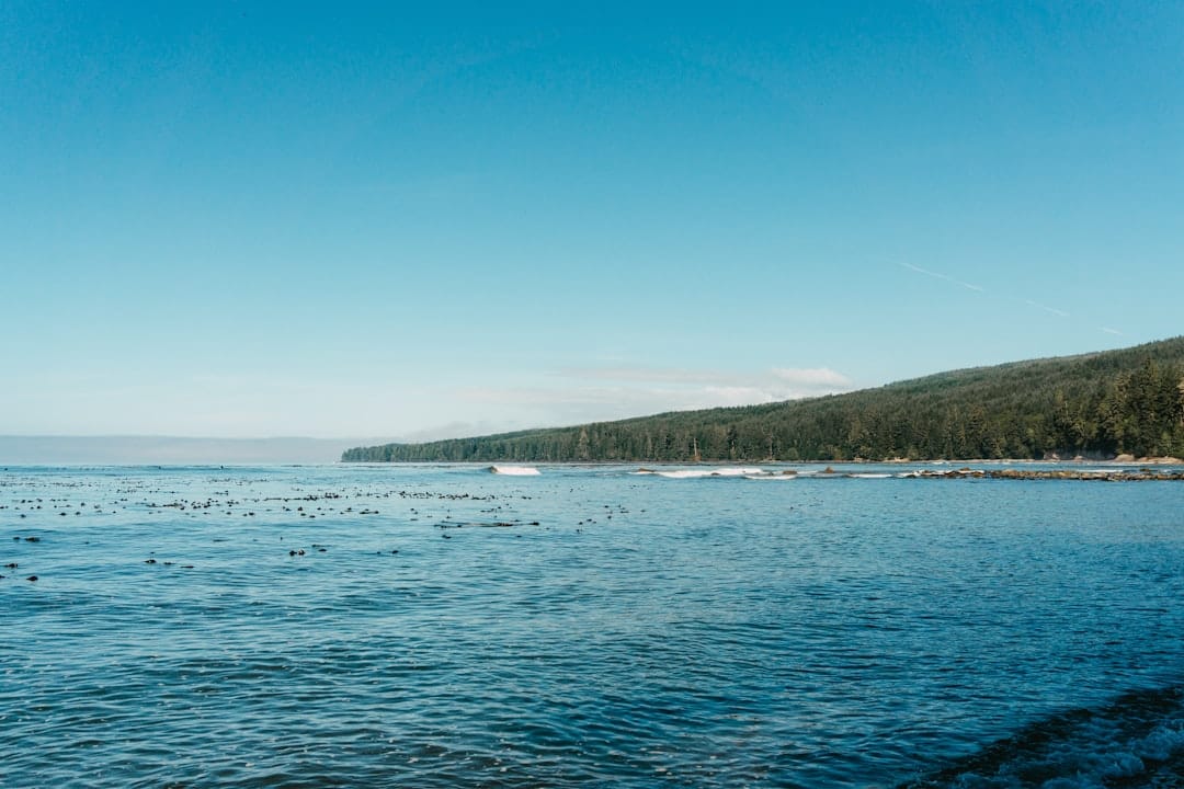 Vancouver Island ocean coast and green mountains near Comox BC