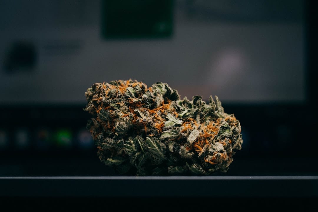 Close-up of premium BC craft cannabis flower available for delivery to Liverpool Nova Scotia