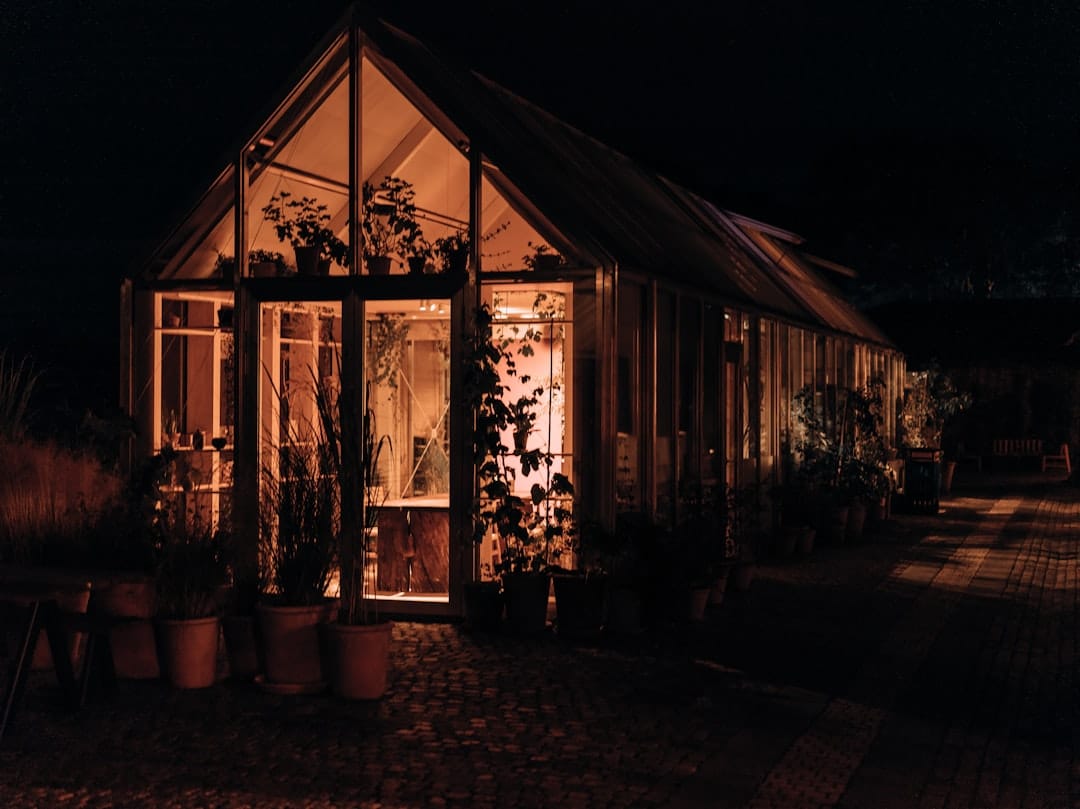 Lit-up greenhouse at night representing BC craft cannabis production