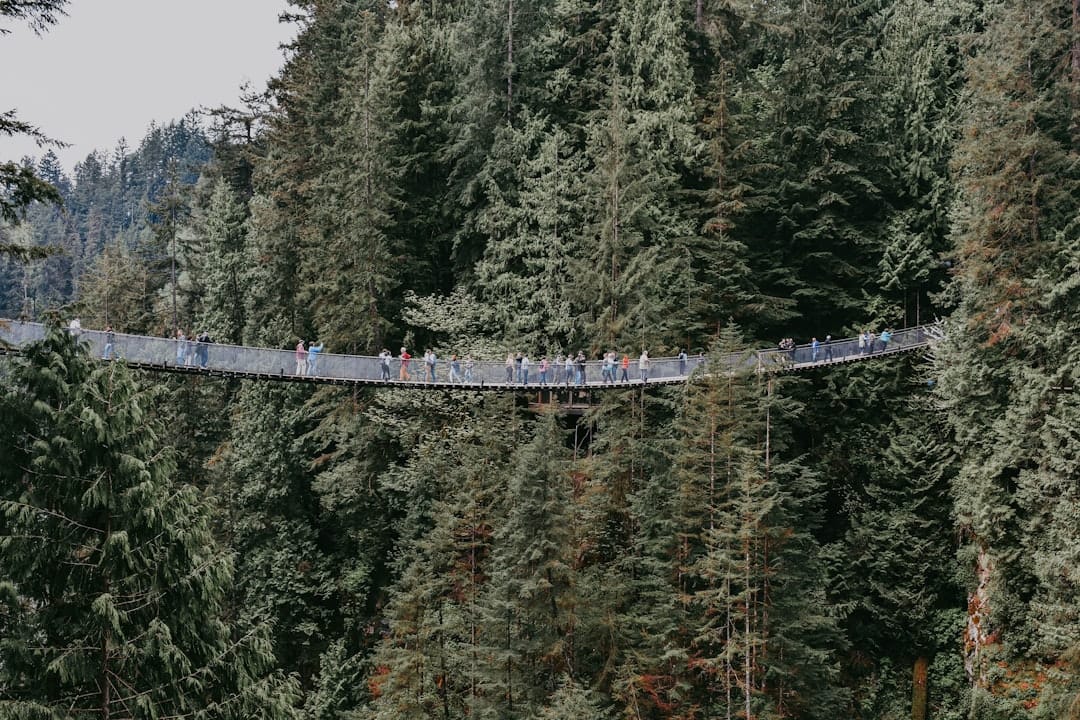 Capilano Suspension Bridge in North Vancouver British Columbia surrounded by coastal forest