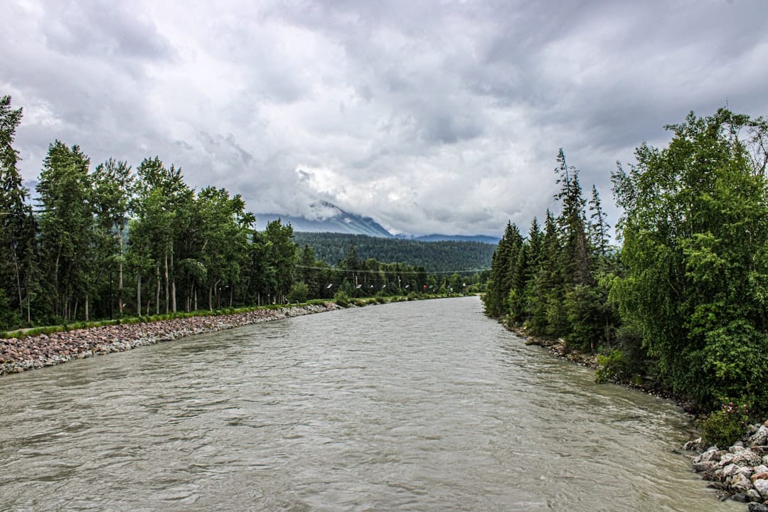 Lush green BC coastal river and forest landscape representing fresh-water solventless cannabis terroir