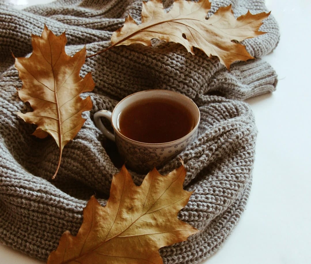 Warm cup of tea with autumn leaves representing daily CBD wellness routine