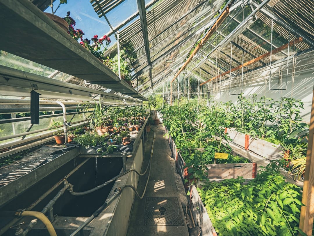 Craft greenhouse with plants representing BC's 123 micro-cultivator licences