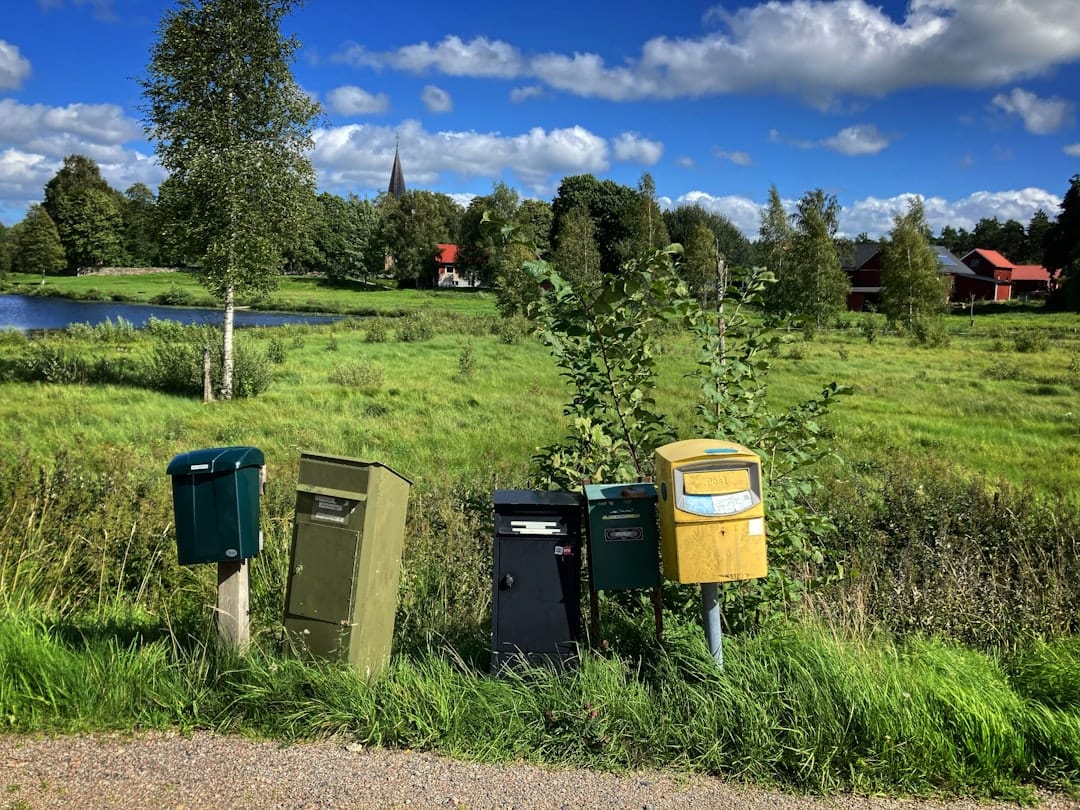 Rural mailboxes in a grassy field with a small village in the background