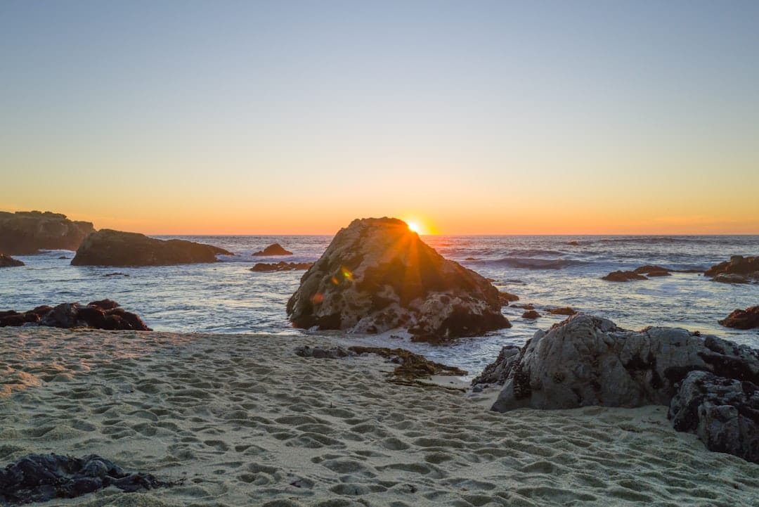 Pacific coast sunset evoking BC coastal vibe of Coastal Pink AAAA strain