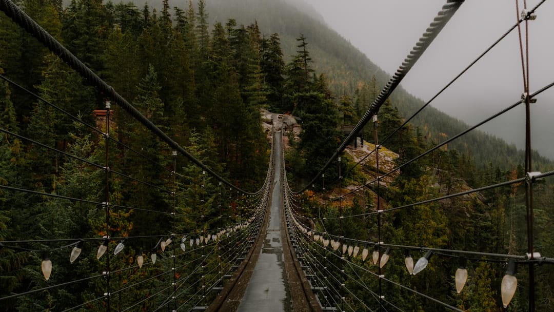 Suspension bridge through misty BC old growth conifer forest evoking outdoorsy cannabis lifestyle