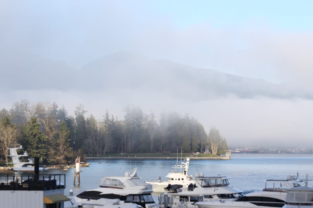 Foggy BC coastal lake with forested mountains representing the BC craft cannabis country