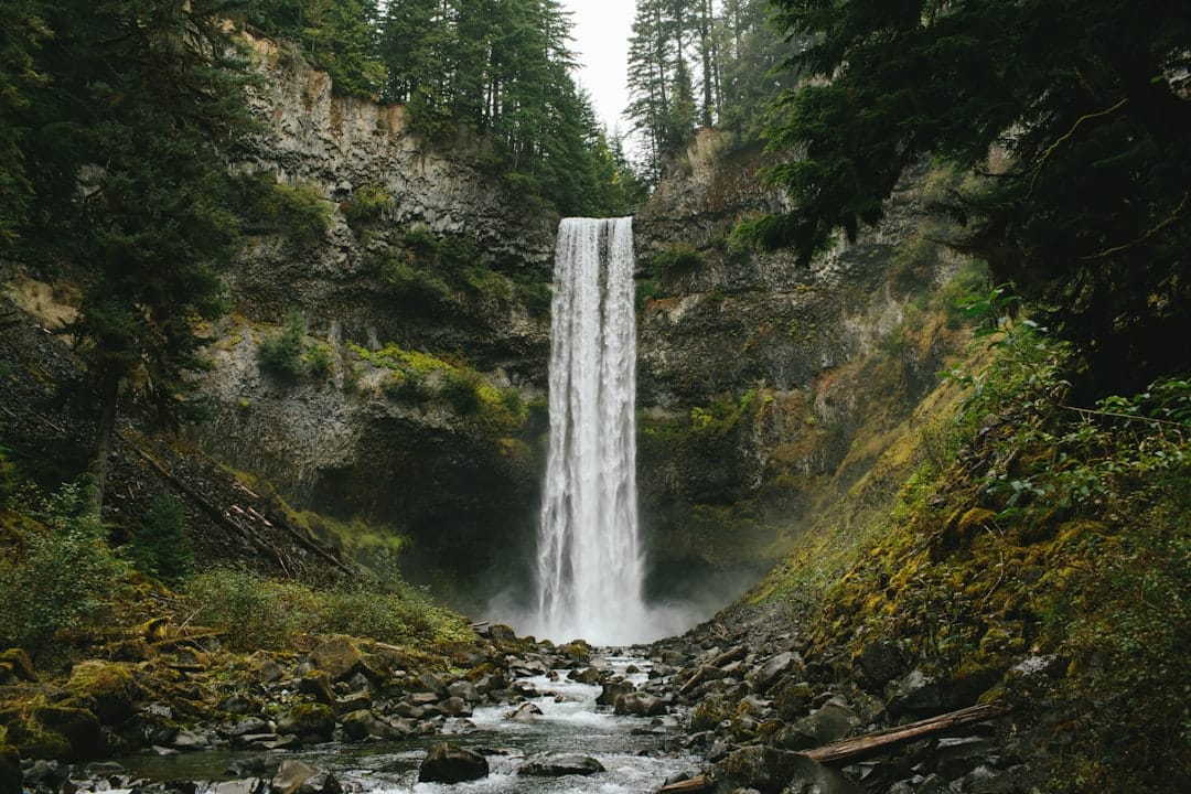 BC forest waterfall representing the natural craft cannabis culture of British Columbia