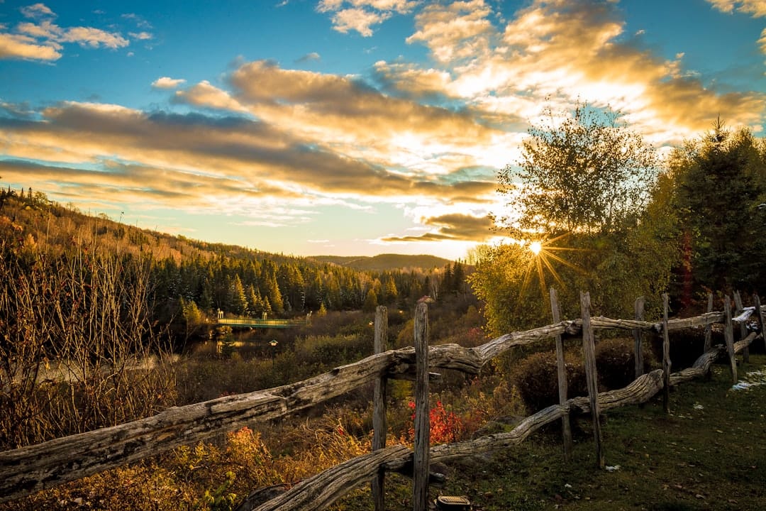 Forested landscape along a Quebec river similar to the Rivi&egrave;re des Mille &Icirc;les that borders Laval