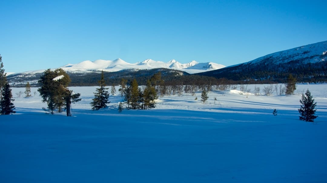 Snowy mountain field with evergreen trees and distant peaks western Newfoundland