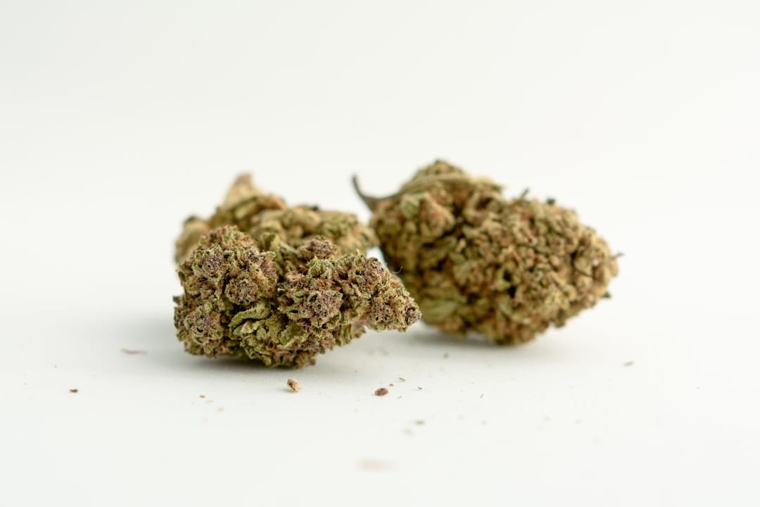 Close-up of two dried BC craft cannabis buds on a clean surface, available for delivery to Summerside PEI