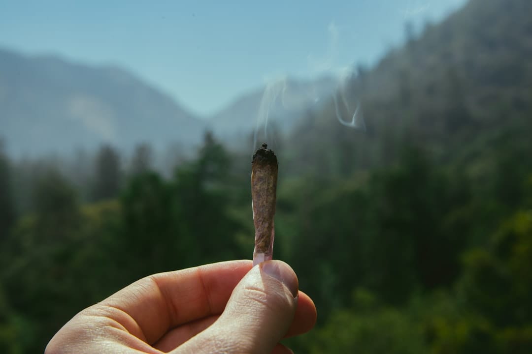 Hand holding a rolled cannabis joint showing how hash can be used as a joint topper