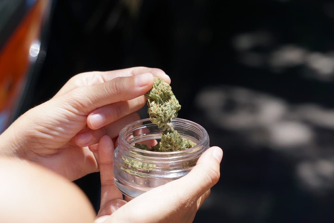 Dense green cannabis flower stored in a clear glass jar, the traditional way to keep flower fresh