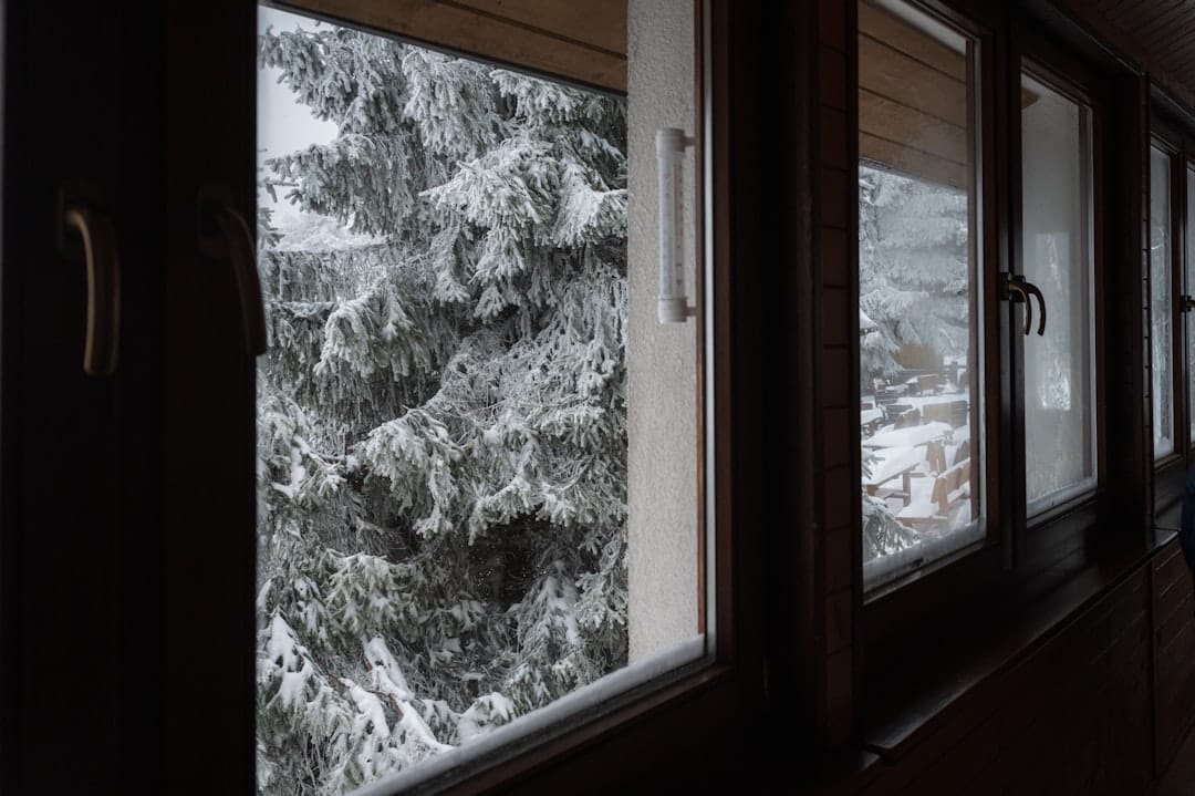 Snow-covered evergreen trees seen through a cozy winter cabin window