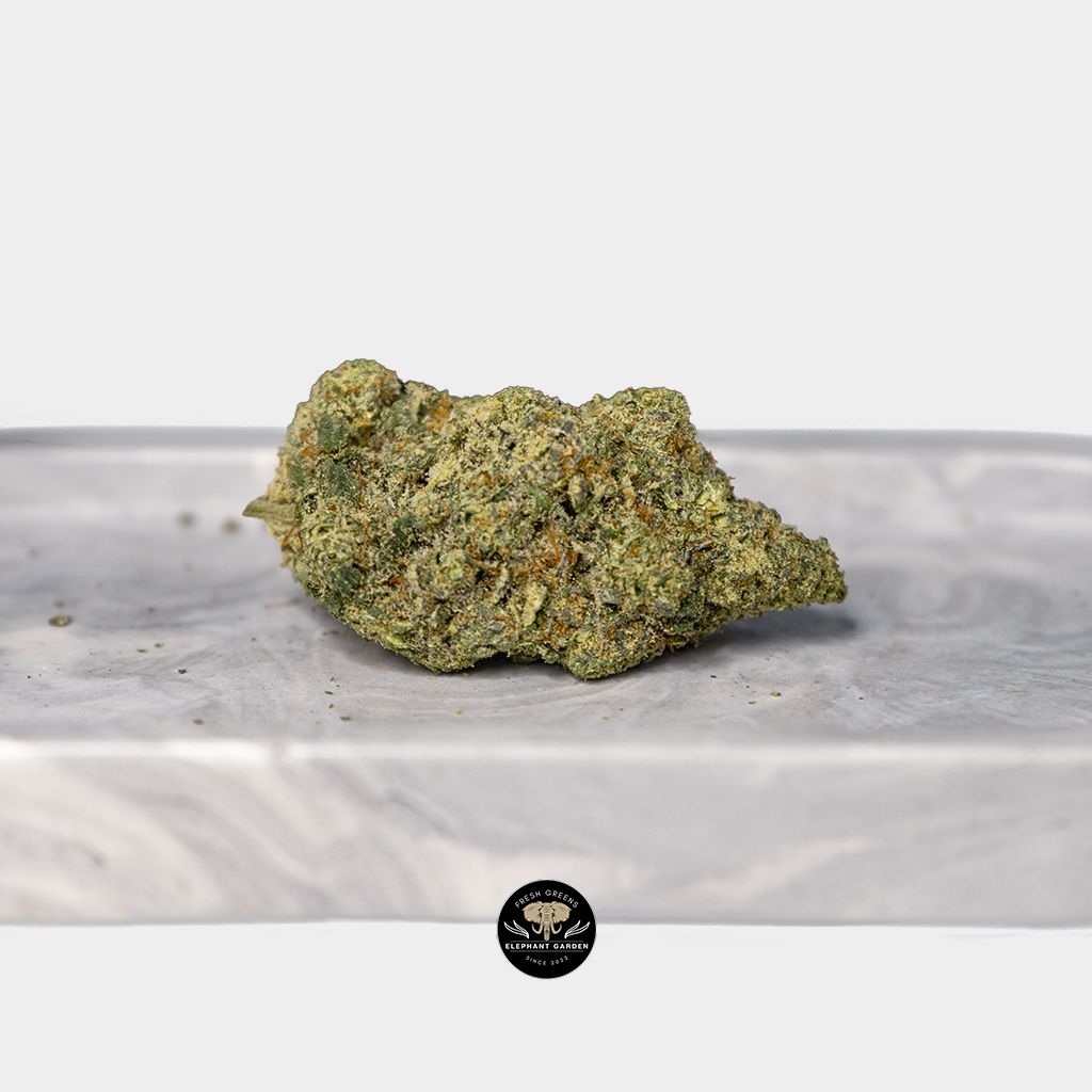 Mendo Haze Single 3
